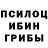 Галлюциногенные грибы Psilocybe Runa Lee