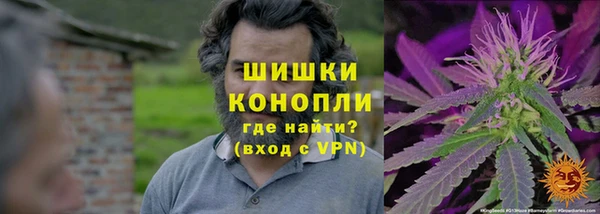 МДПВ Богородицк