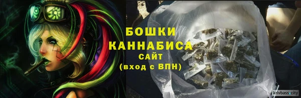 МДПВ Богородицк