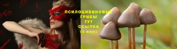 МДПВ Богородицк