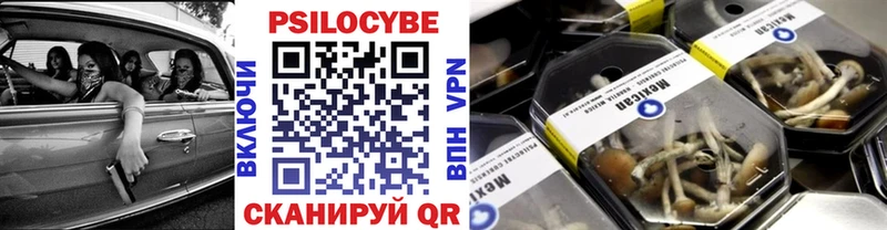 Псилоцибиновые грибы прущие грибы  omg зеркало  Новошахтинск 